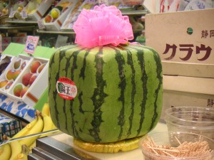 Square_watermelon